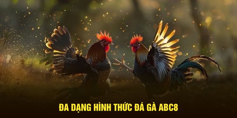 Đa dạng hình thức đá gà ABC8