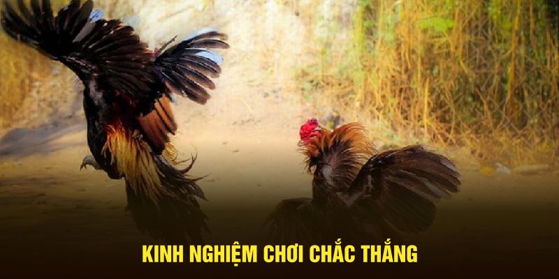 Kinh nghiệm chơi chắc thắng