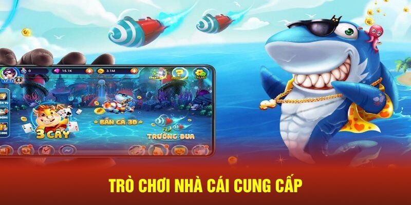 Trò chơi nhà cái cung cấp